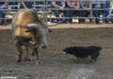 IMG_5581a.jpg