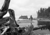 Ruby Beach, WA