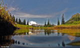 Camera half submerged in Upper Tipsoo Lake