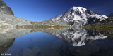 Mt Rainier from Pinnacle Glacier Tarn