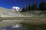 Mt Rainier from pond on Tatoosh Ridge