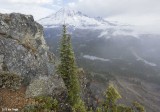 Mt Rainier 