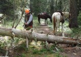 7A Trail Work