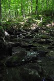 Crossing the Stream