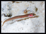 IMG_1224.jpg