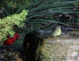 Bath Time and Peeping Tom - IMG_2315.JPG