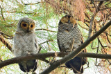 DSC_9377.JPG