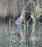 Resize of _DSC4726.jpg