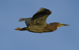 _DSC4745-1.jpg
