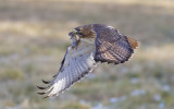_DSC6961-1.jpg