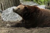 IMG_1207w.jpg