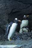 IMG_1226w.jpg