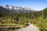 Goat Creek Trail