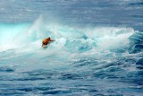 Surfer at Hookipa Beach III