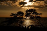 IMG_2910a.jpg