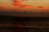 IMG_2980a.jpg