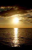 IMG_2912a.jpg