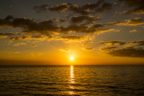 IMG_2924w.jpg