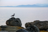 Wall Beach