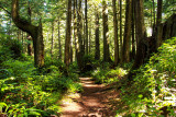 Trail to Florencia Bay (Wreck Bay)