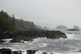 Wild Pacific Trail