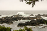 Wild Pacific Trail