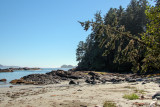 Florencia Bay (Wreck Bay)