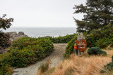 Wild Pacific Trail