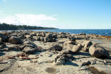 Wall Beach