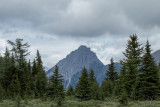 IMG_0161w.jpg