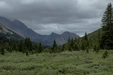 IMG_0250w.jpg