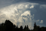 IMG_0498w.jpg
