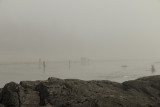 Surfers in the fog at Chesterman Beach