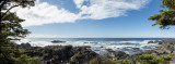 Wild Pacific Trail view