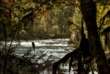 Stamp River Provincial Park