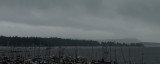 Rainy Day in Nanaimo Harbour