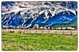 Farm house by the mountain
