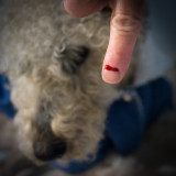 First Blood