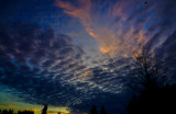 Plane in the sky