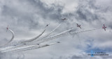 les snowbirds  IMG_7043-900.jpg