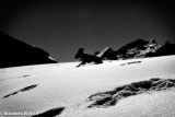 Mountain Snow