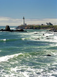 The Light at Pigeon Point