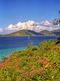 BVI