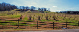 Tenneseee's Winery