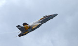 F-18 Hornet 4.jpg