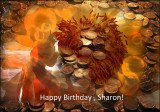 Sharon bdy 2015 .jpg