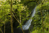 17 December 2013 - McLean Falls, Catlans Coast