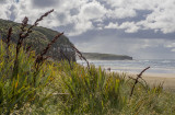 On the way to the Cathedral Caves, Catlins