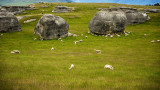 Elephant Rocks, Waitaki near Oamaru