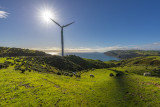 27 June 2015 - A walk at the West wind farm near Makara